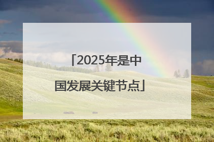 2025年是中国发展关键节点